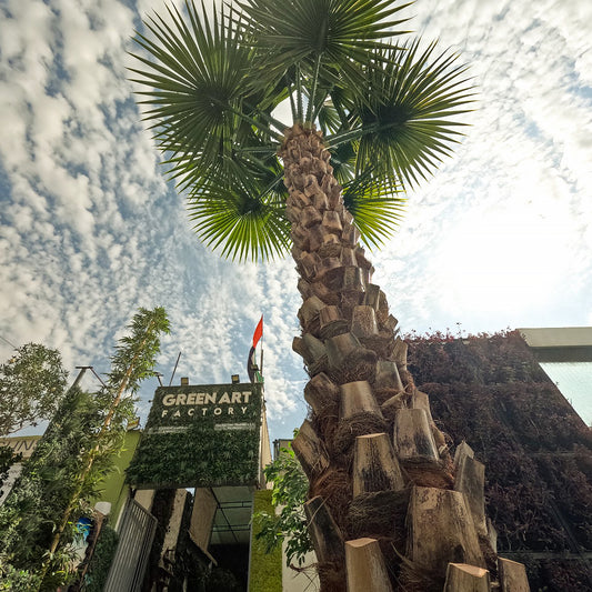 Artificial Washingtonia Palm Tree 400cm with real bark trunk and UV resistance for outdoor use