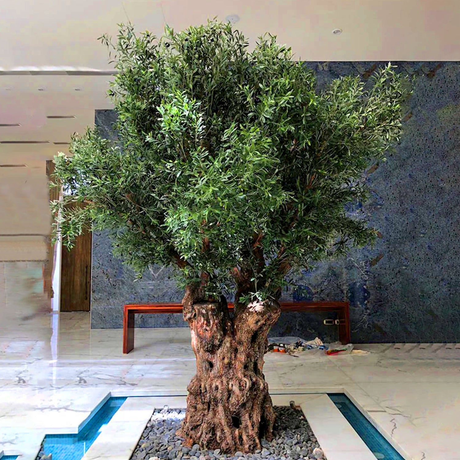 Preserved trees for sale in Dubai, UAE, and worldwide – long-lasting preserved tree decor for homes, offices, and commercial spaces, available for delivery across the Middle East.