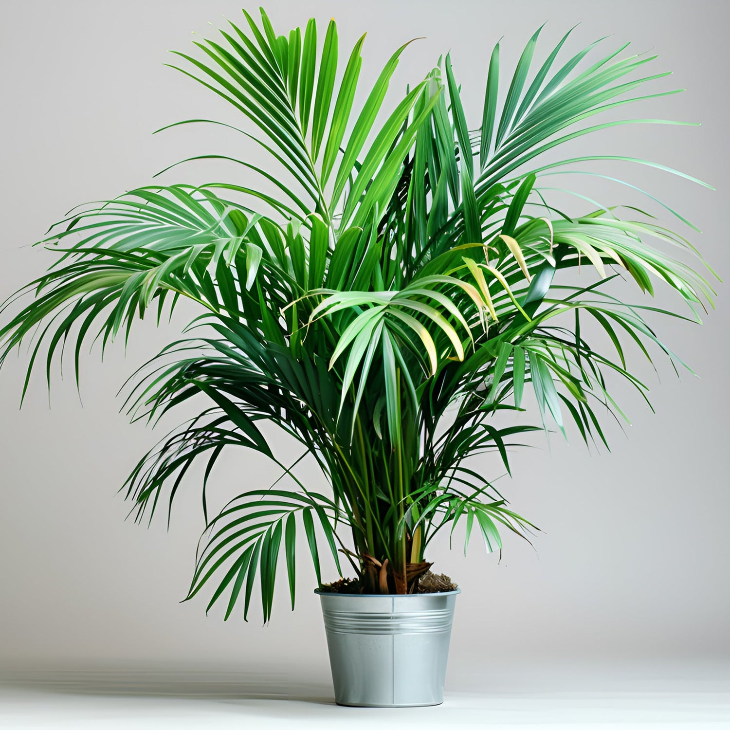 Realistic artificial Areca palm plant with lush green fronds for home and office decor