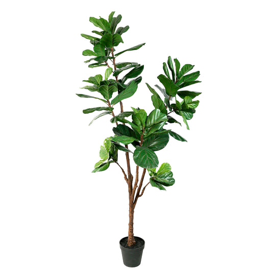 Elegant Artificial Ficus Lyrata 210cm - Green, a lifelike faux fiddle leaf fig tree for home, office, and commercial decor in Dubai, UAE, and worldwide.