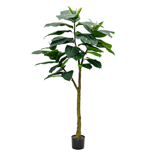 Premium Artificial Ficus Elastica Abidjan 180cm - Green, a realistic faux rubber tree for elegant home, office, and commercial decor in Dubai, UAE, and worldwide.