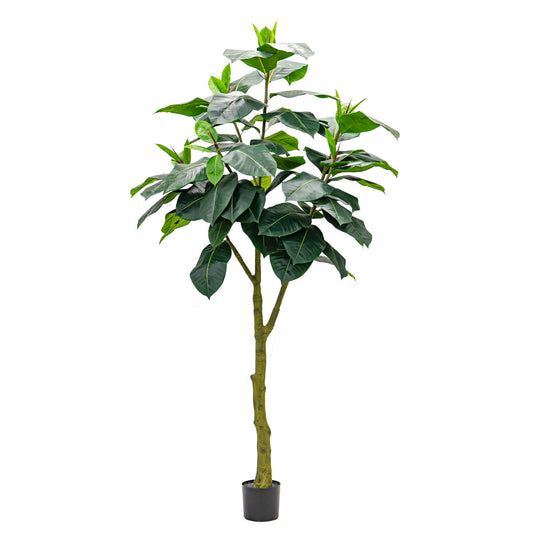 Stunning Artificial Ficus Elastica Abidjan 240cm - Green, a tall, realistic faux rubber tree for luxury home, office, and commercial decor in Dubai, UAE, and worldwide.