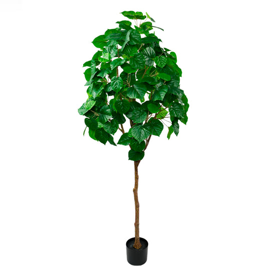 Elegant Artificial Ficus Linden - Shaped 190cm - Green, a realistic sculpted faux tree for sophisticated indoor and outdoor decor in Dubai, UAE, and worldwide.