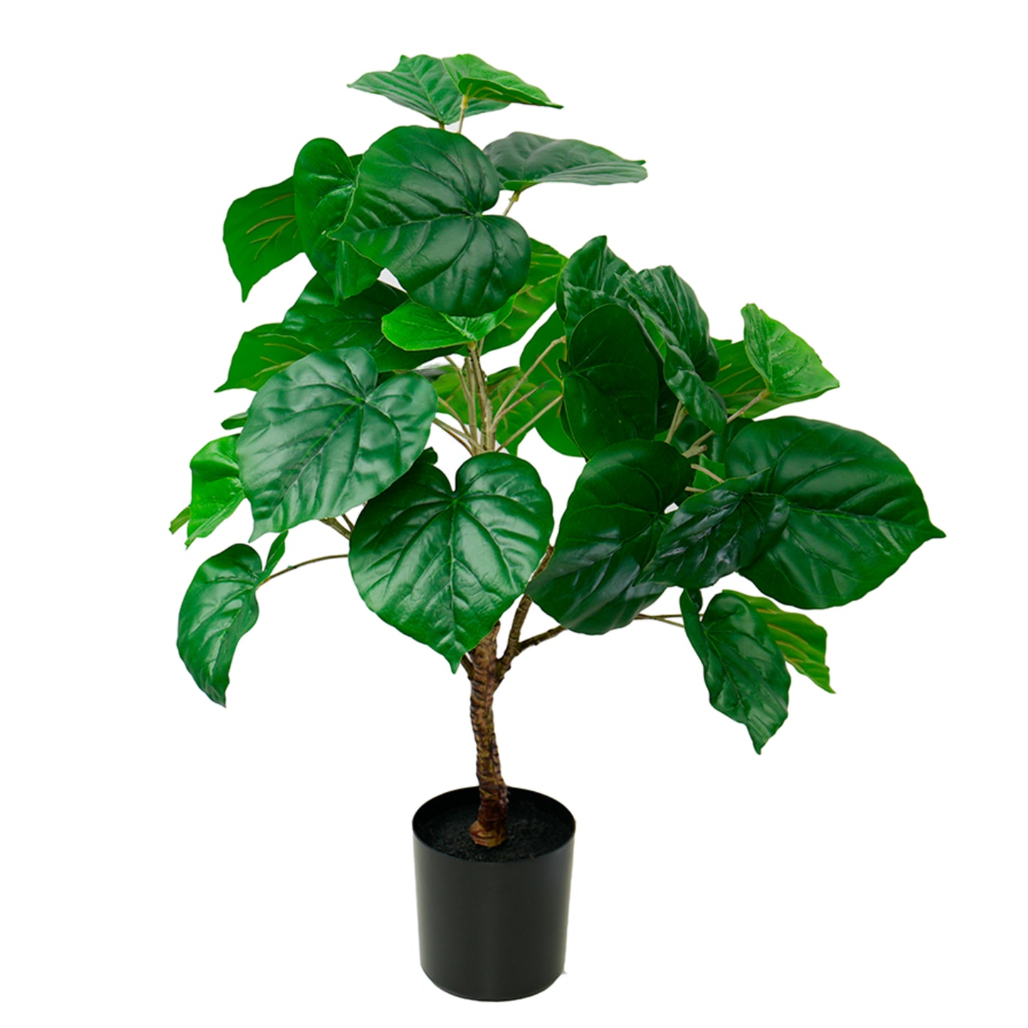 Beautiful Artificial Ficus Linden - Shaped 76cm - Green, a compact and lifelike faux tree for stylish home, office, and commercial decor in Dubai, UAE, and worldwide.