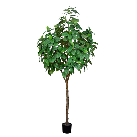 Tall Artificial Ficus Tree 240cm – Lifelike Greenery for Indoor & Outdoor Use in Dubai, UAE