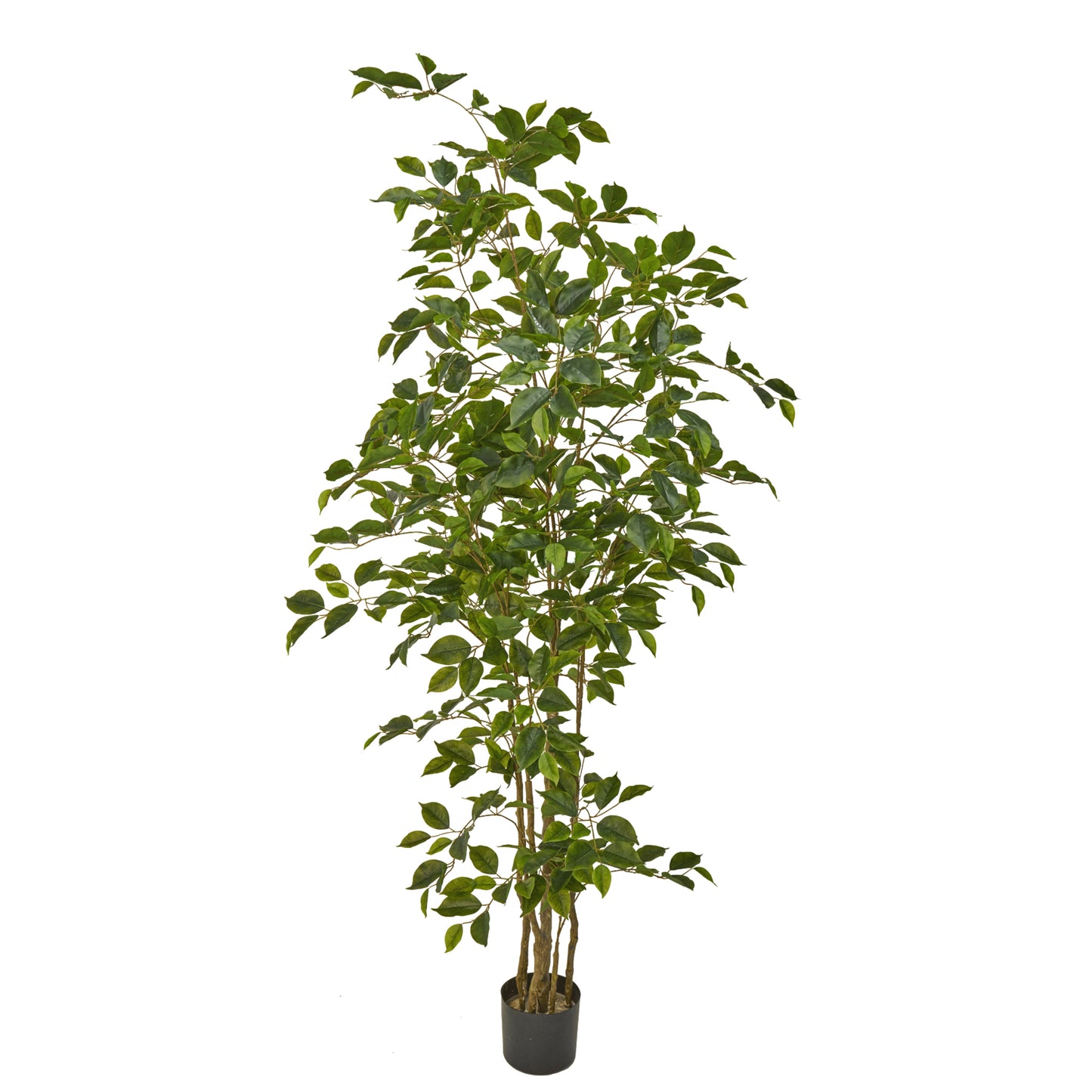 Artificial Ficus Benjamina Naomi 180cm – Lifelike Indoor & Outdoor Decorative Tree in Dubai, UAE