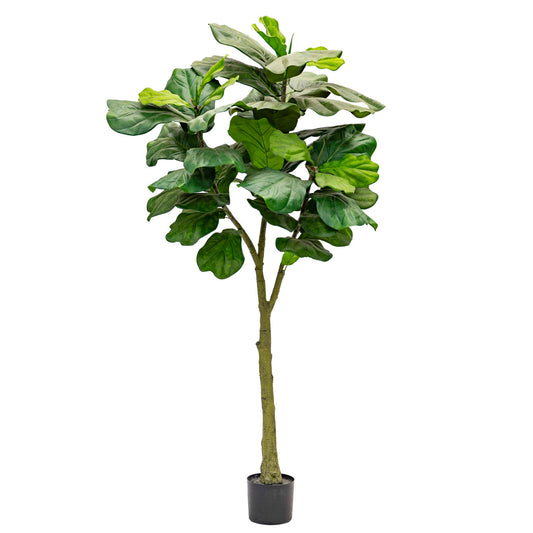 Artificial Ficus Lyrata Columnaris 180cm – Real Touch Green Leaves, Decorative Faux Tree