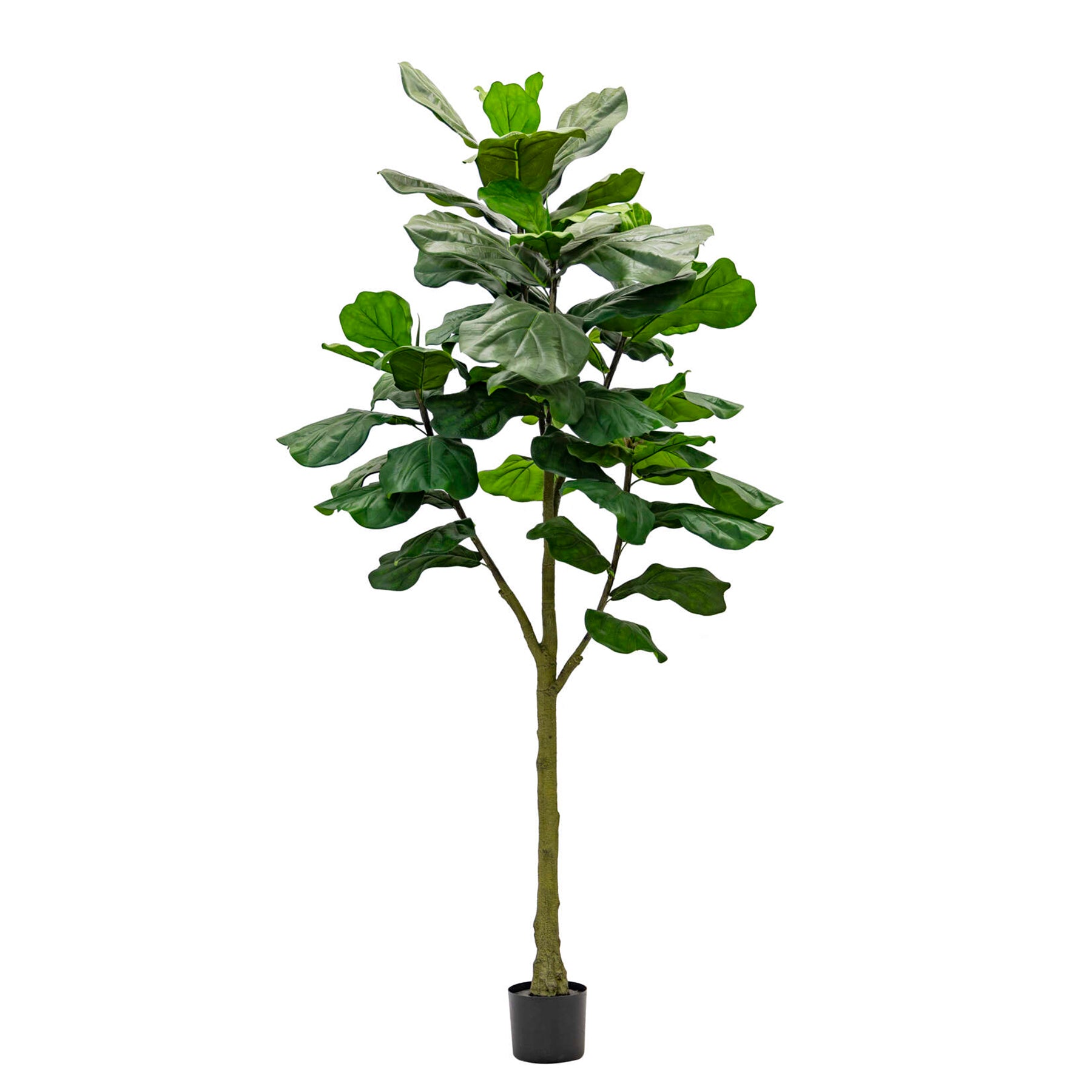 Artificial Ficus Lyrata Columnaris 210cm – Real Touch Green Leaves, Tall Decorative Faux Tree