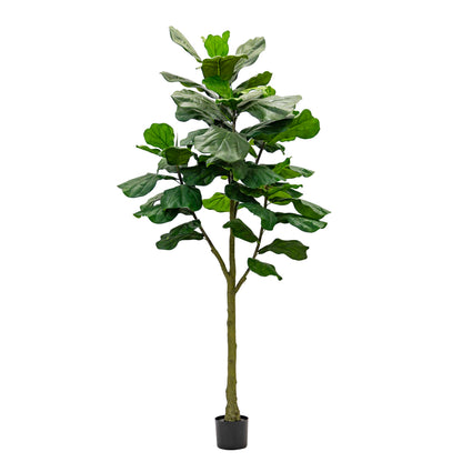 Artificial Ficus Lyrata Columnaris 210cm – Real Touch Green Leaves, Tall Decorative Faux Tree