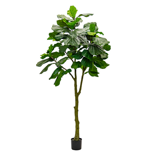 Artificial Ficus Lyrata Columnaris 240cm – Real Touch Green Leaves, Tall Decorative Faux Tree