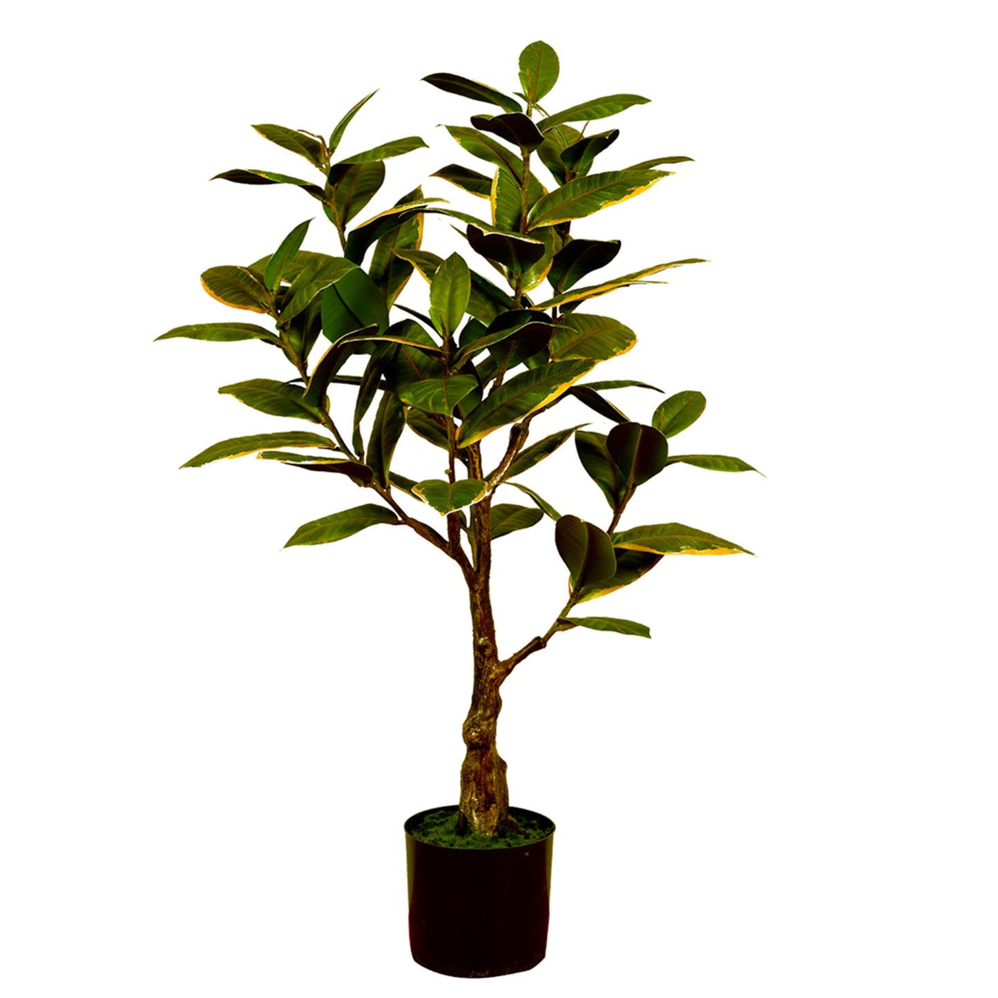 Artificial Ficus Elastica Melanie 75cm – White Green Faux Rubber Plant for Home & Office Décor