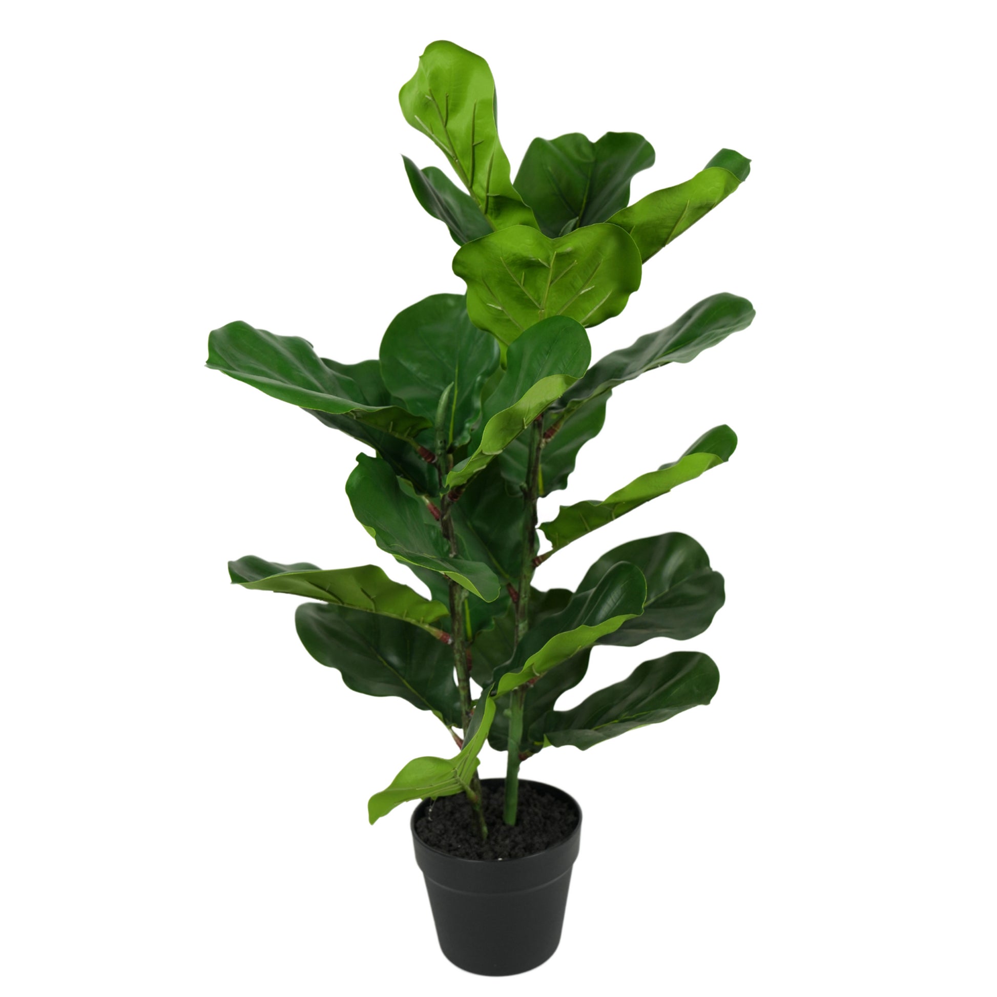 Artificial Small Ficus Lyrata 80cm – Lifelike Faux Potted Plant for Home and Office Décor