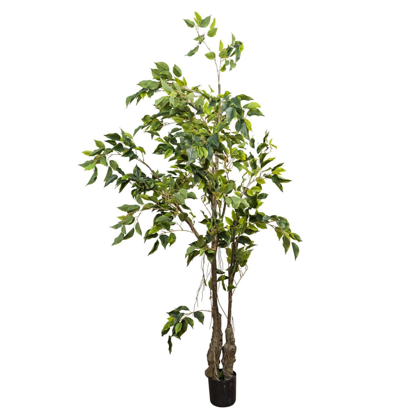 Artificial Ficus Benjamina Weeping Fig 150cm – Realistic Green Decorative Tree