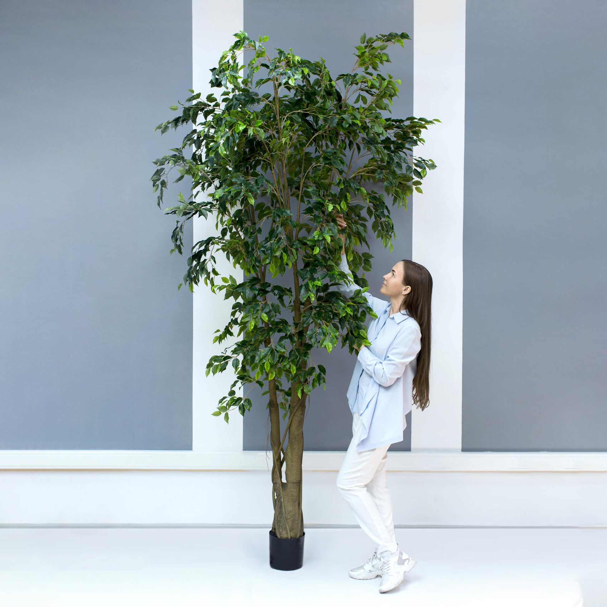 Luxury Extra Tall Artificial Ficus Weeping Fig 300cm for Home & Commercial Decor