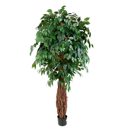 Artificial Ficus Benjamina Liana 180cm with Lush Green Leaves and Twisted Trunk