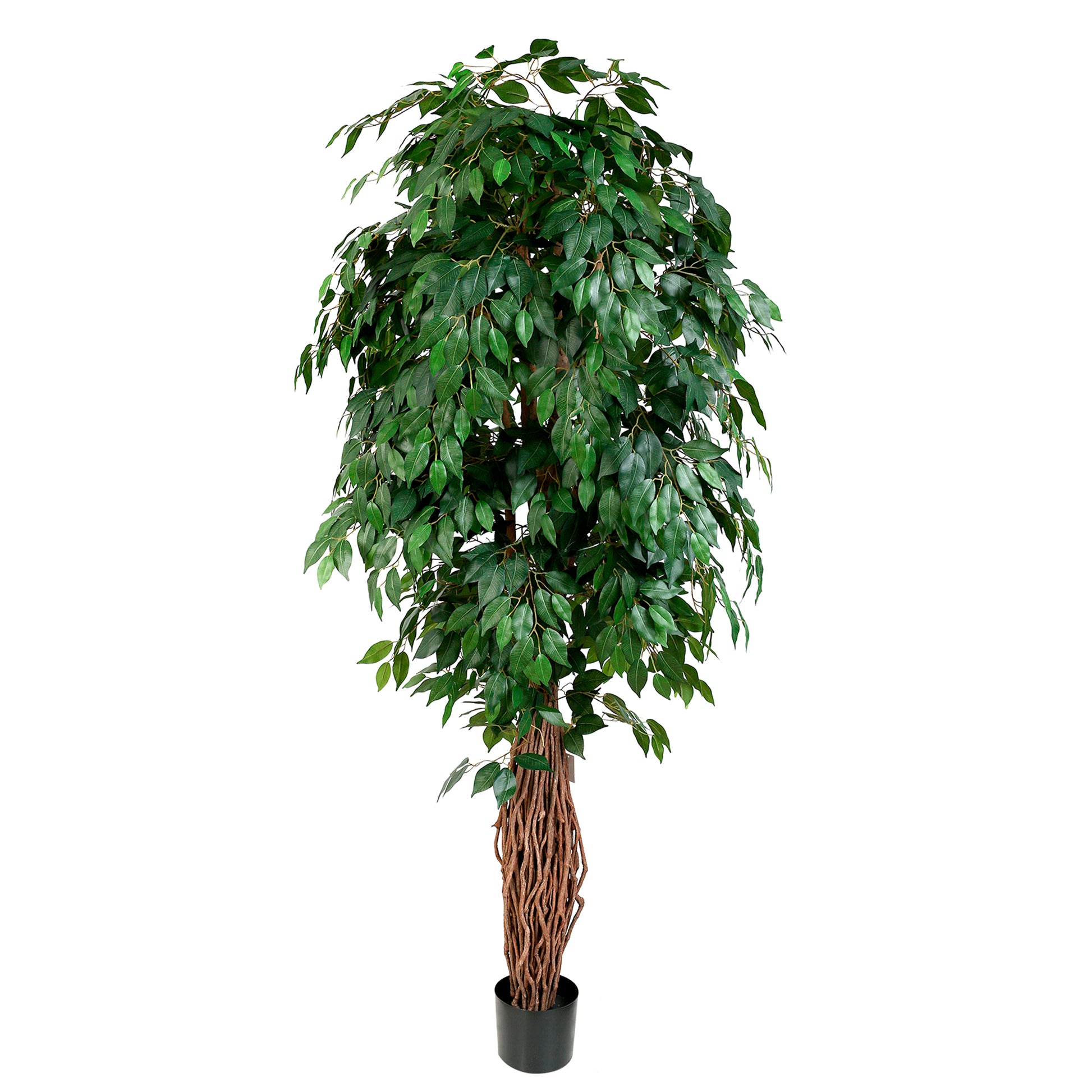 Realistic Artificial Ficus Benjamina Liana Tree 210cm for indoor and outdoor décor