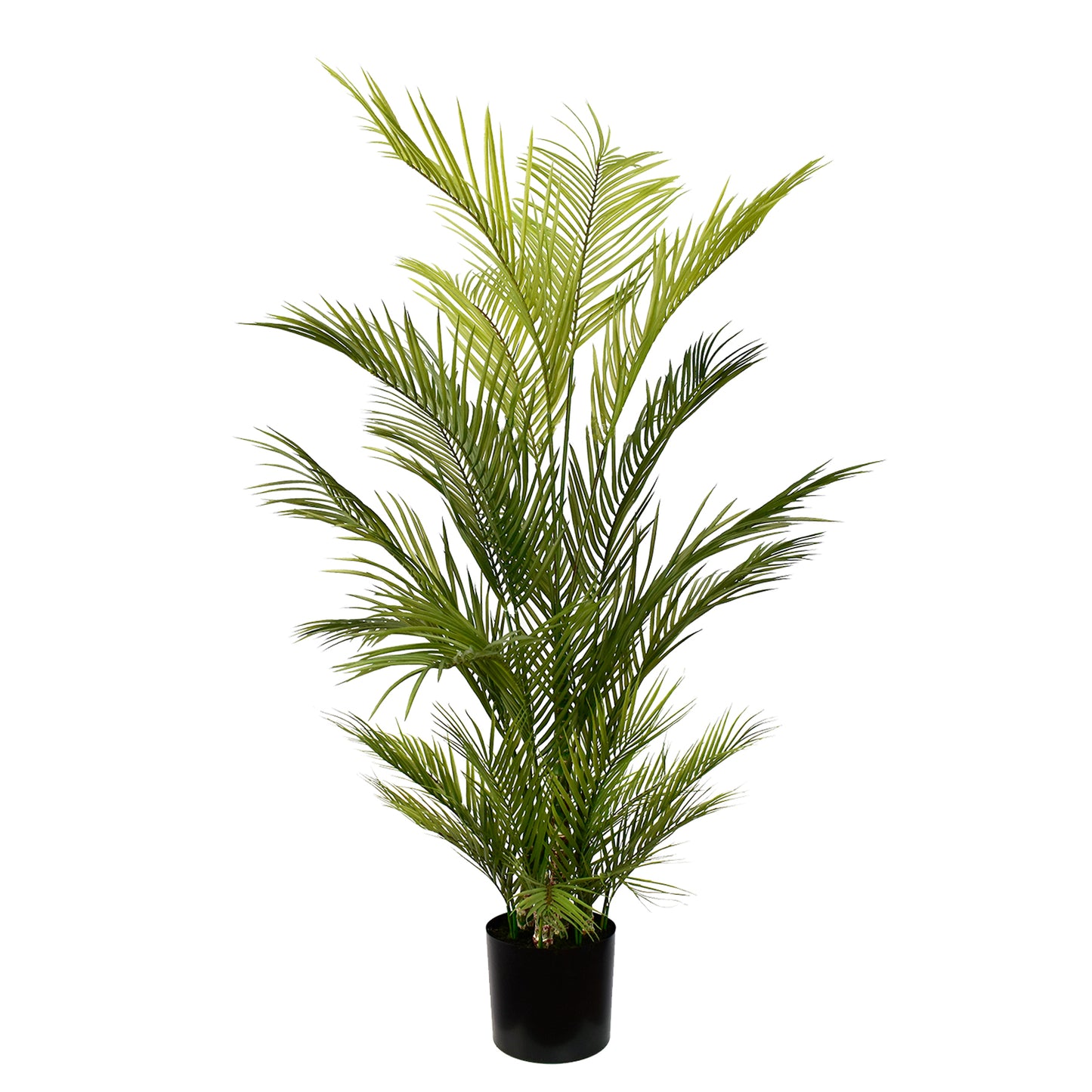 Artificial Areca Chrysalidocarpus Palm 150cm with realistic green leaves and natural-looking trunks for home and office décor