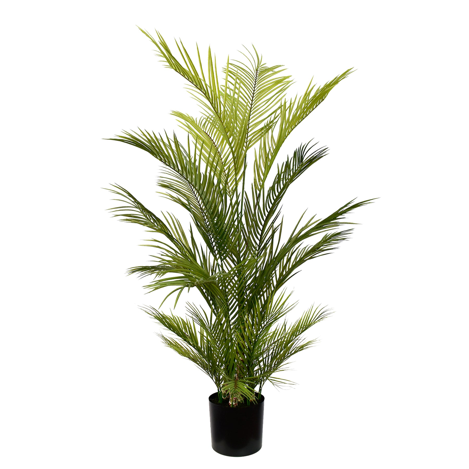 Artificial Areca Chrysalidocarpus Palm 150cm with realistic green leaves and natural-looking trunks for home and office décor