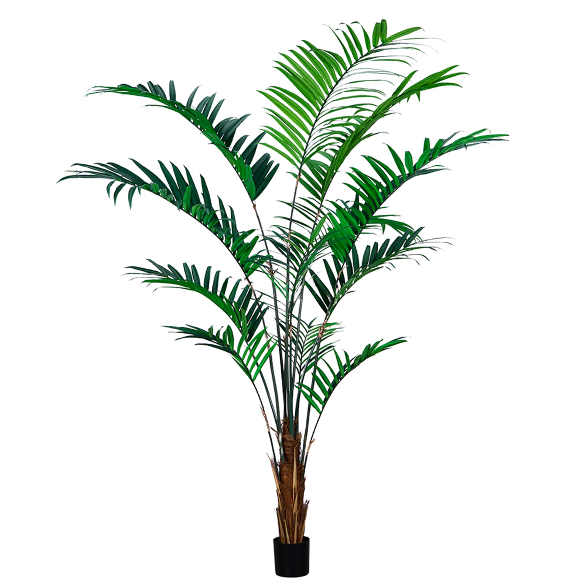 Tall artificial Kentia palm tree 240cm in an elegant pot with lush green fronds for stylish indoor décor