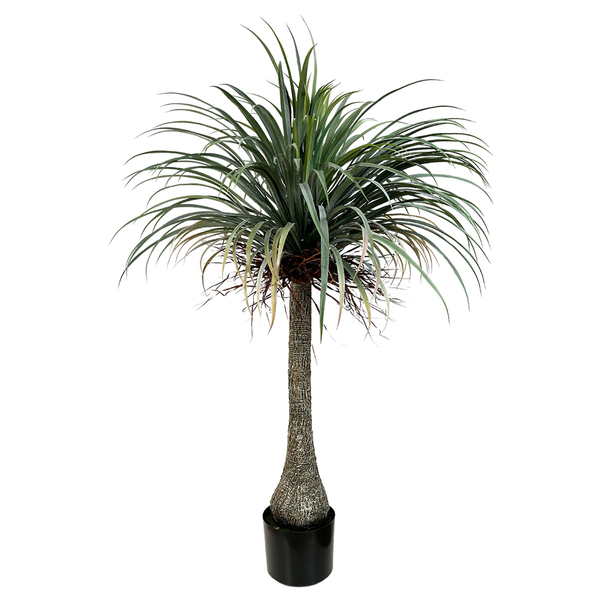 Artificial Nolina palm tree 165cm with realistic trunk and lush ponytail green leaves for indoor decor