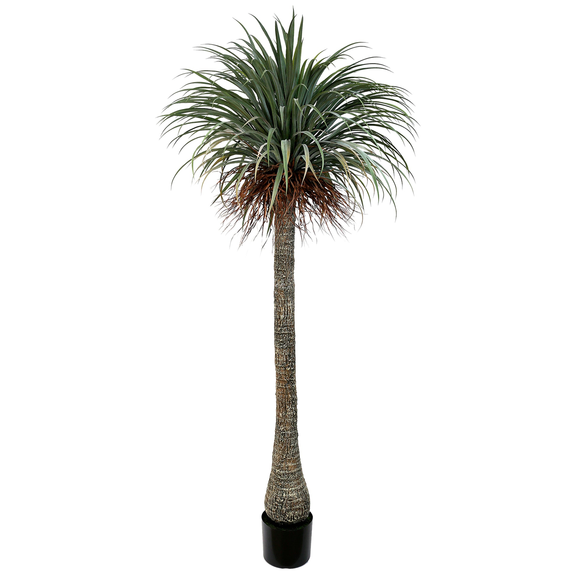 Artificial Nolina palm tree 230cm with a realistic textured trunk and lush ponytail-style green leaves, perfect for tropical décor