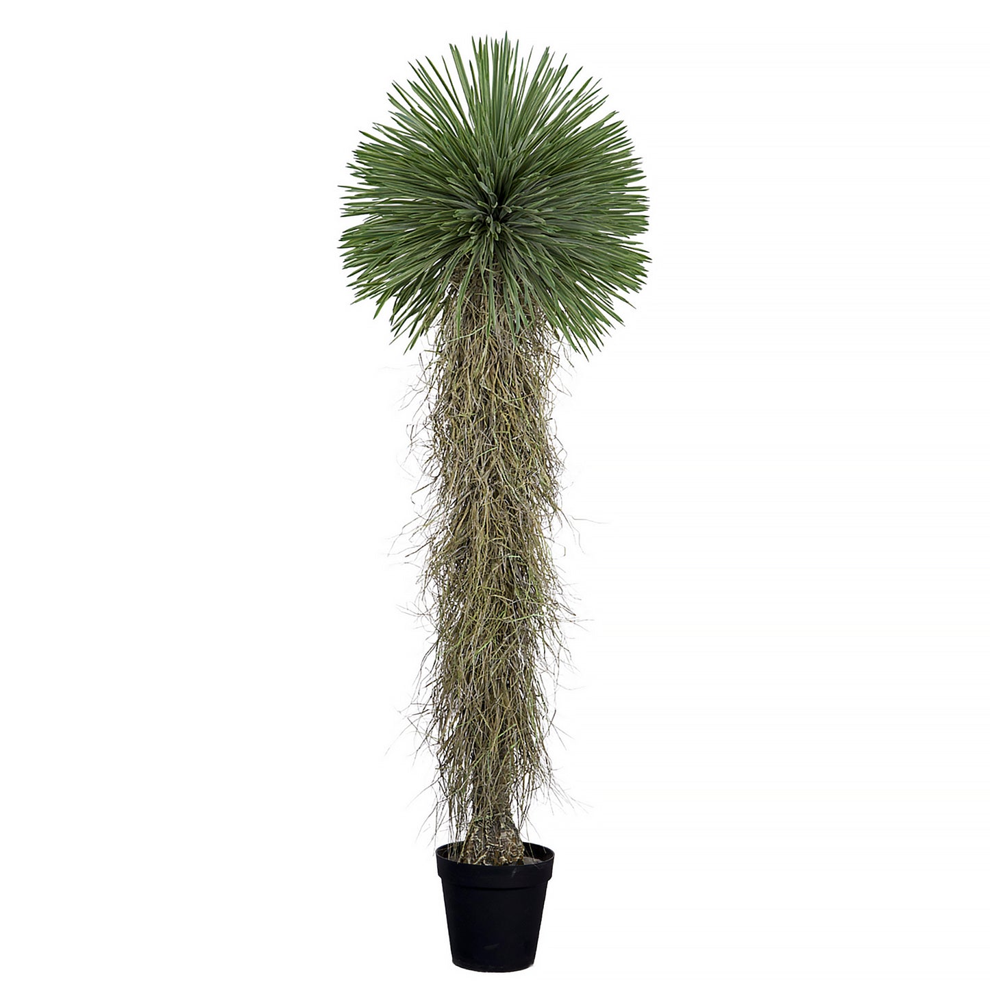 Artificial Yucca Rostrata 210cm with needle-like green leaves and textured trunk in a decorative pot