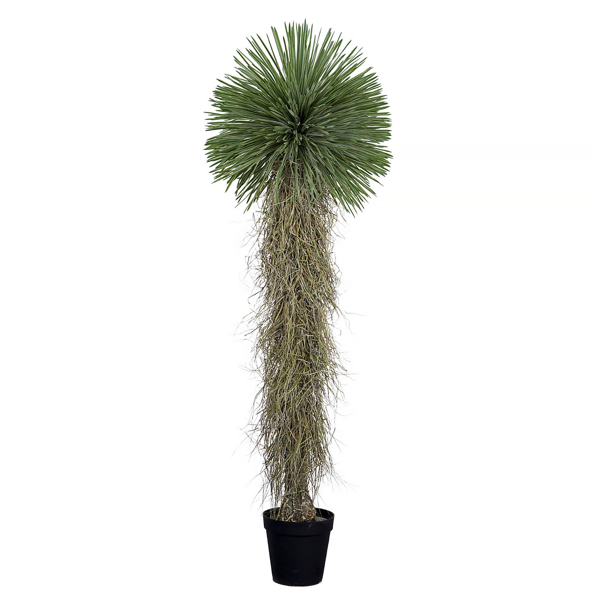 Artificial Yucca Rostrata 210cm with needle-like green leaves and textured trunk in a decorative pot