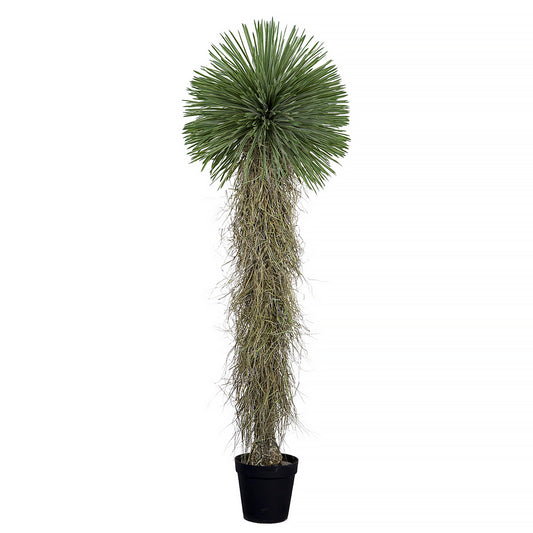 Artificial Yucca Rostrata 210cm with needle-like green leaves and textured trunk in a decorative pot