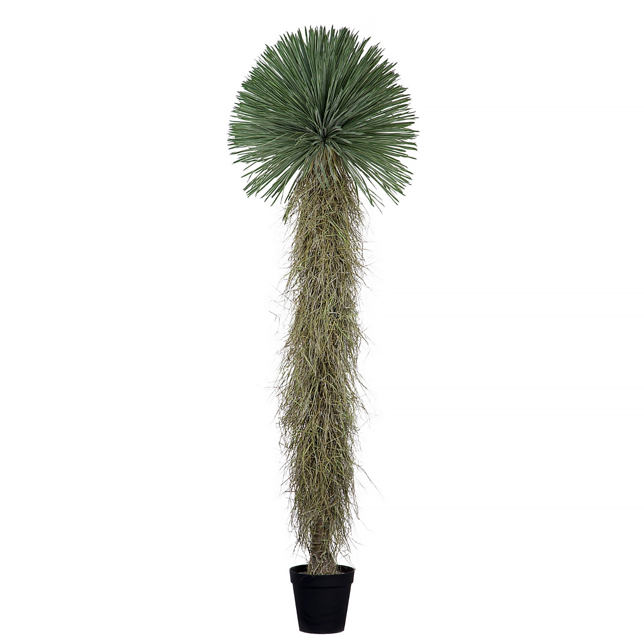 Artificial Yucca Rostrata 260cm with spiky green leaves and textured trunk in a decorative pot