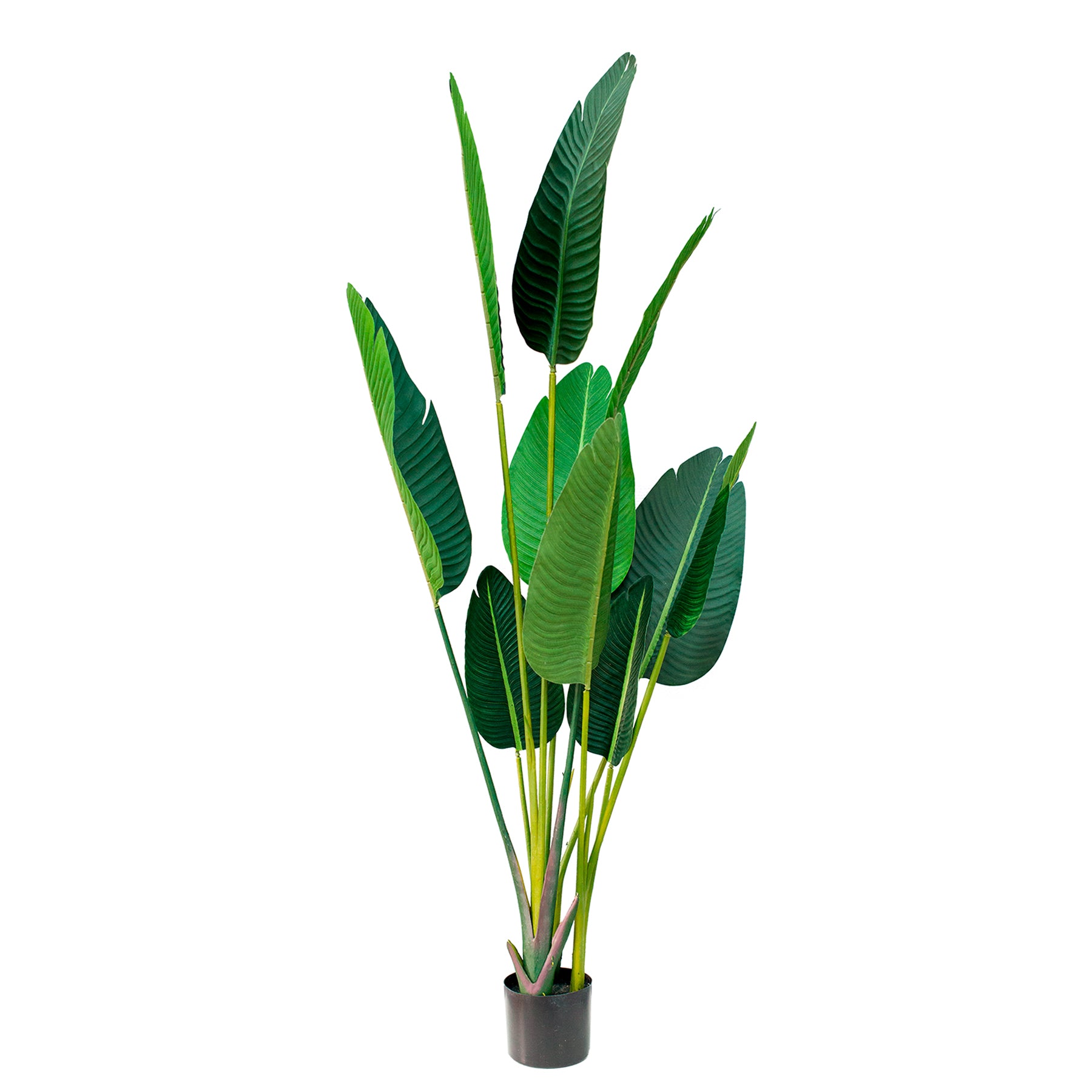 Artificial Strelitzia Nicolai 160cm with lush green leaves for décor