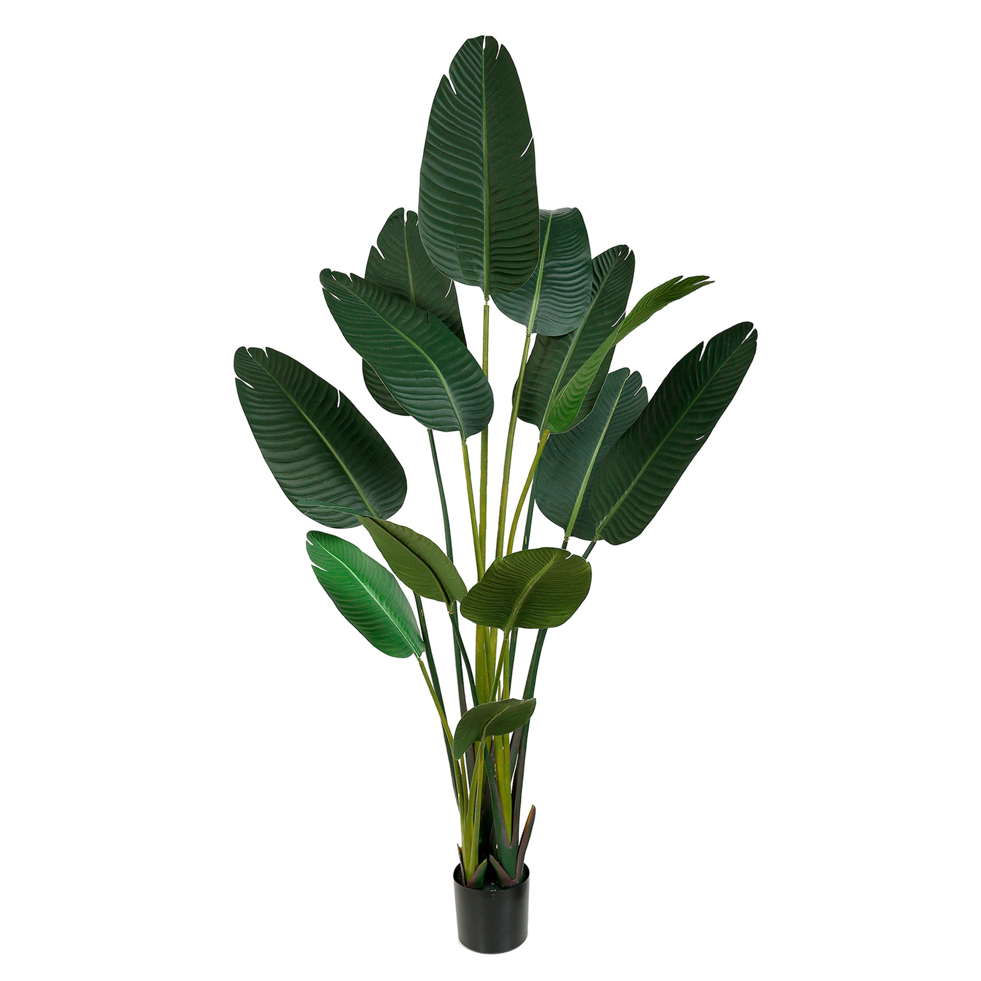 Artificial Strelitzia Nicolai 180cm with lush green leaves for décor