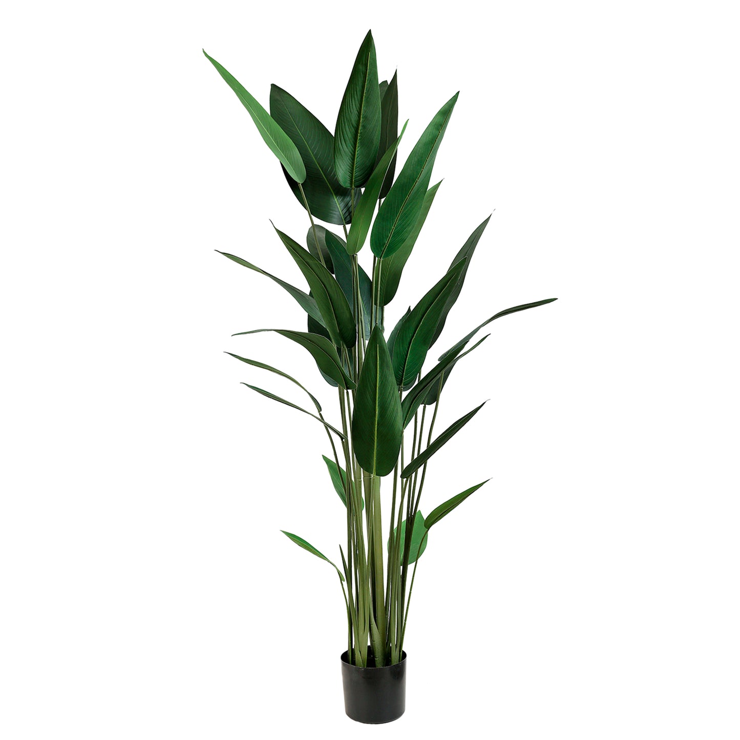 Artificial Strelitzia Reginae 180cm with lifelike green leaves for décor