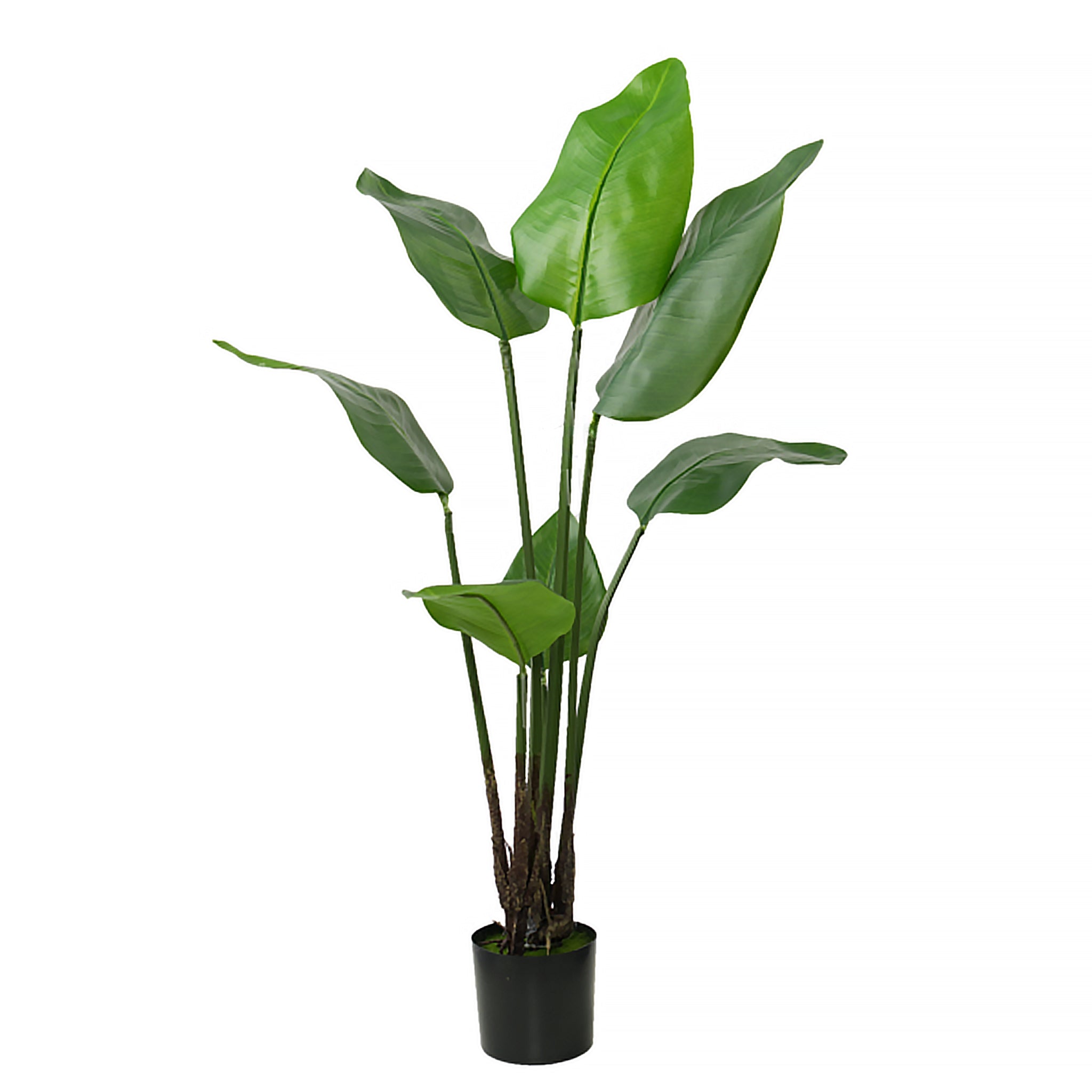 Artificial Strelitzia Nicolai Wild Banana Bush 108cm with lush green leaves