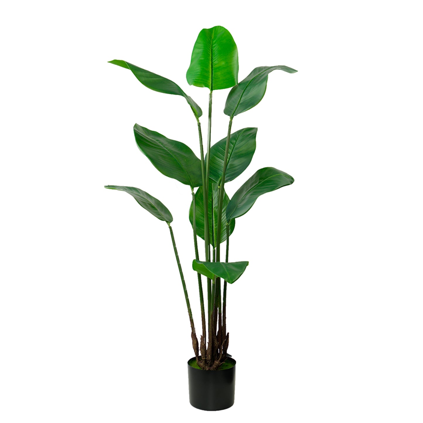 Artificial Strelitzia Nicolai Wild Banana Bush 130cm with realistic lush green foliage