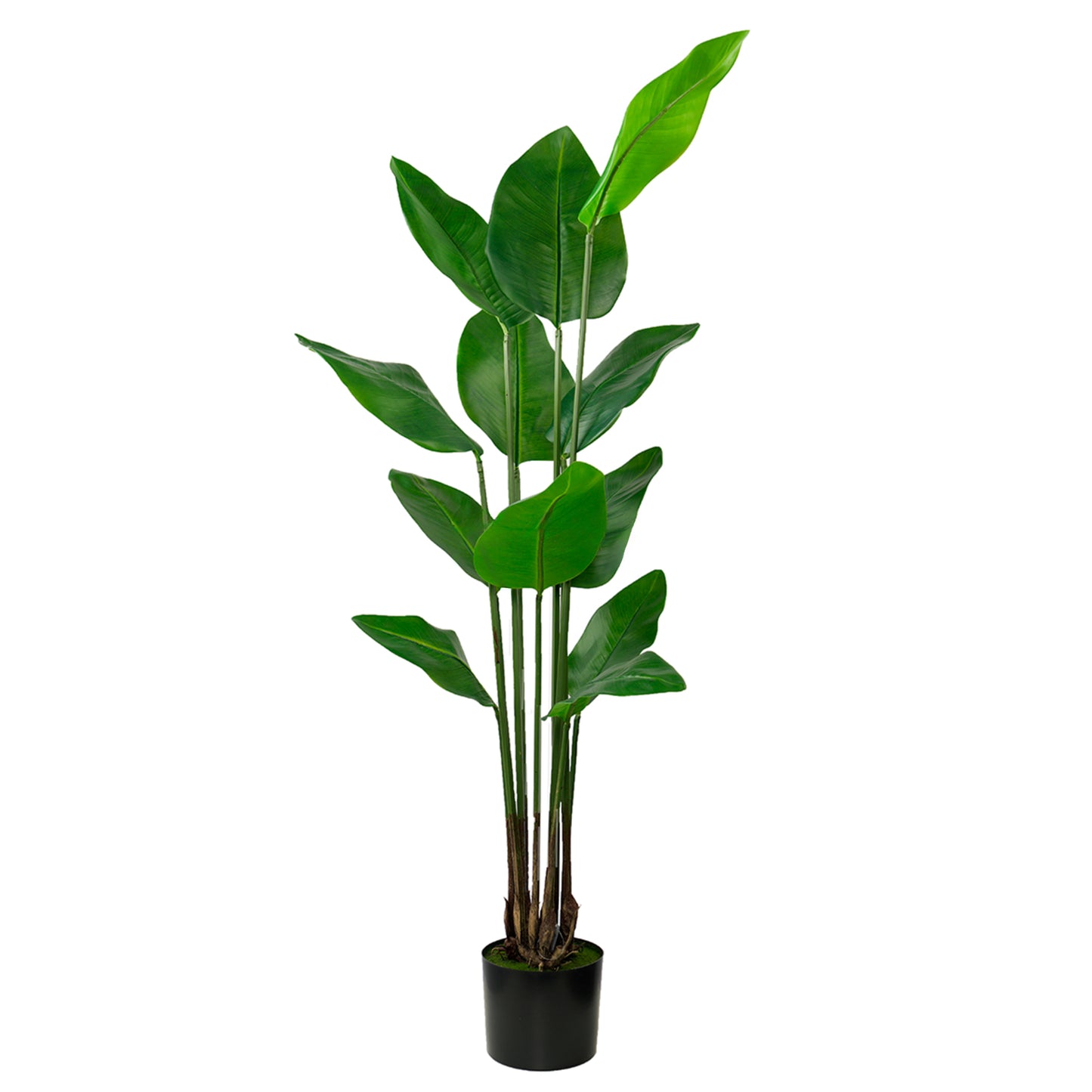 Artificial Strelitzia Nicolai Wild Banana Bush 150cm with lifelike green leaves for indoor decor