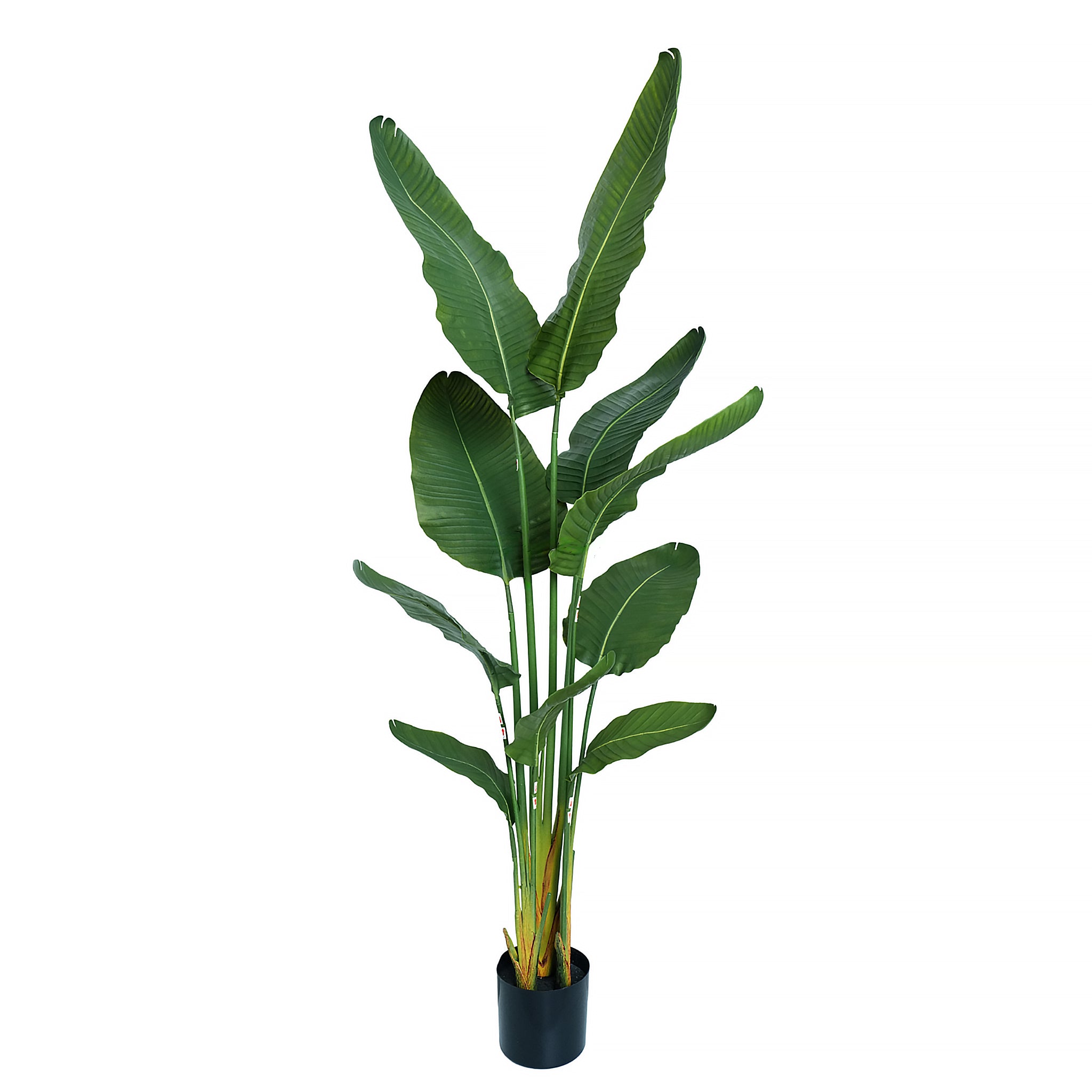 Premium Artificial Strelitzia Nicolai 160cm with lush green leaves in a decorative pot