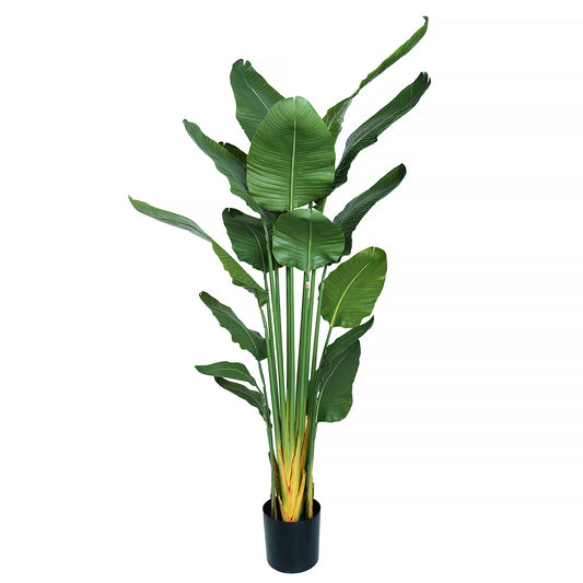 Premium Artificial Strelitzia Nicolai 180cm with wide lush green leaves in a decorative pot