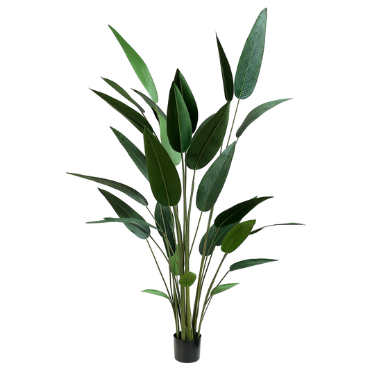 Artificial Strelitzia Reginae 210cm with lush green leaves and a realistic tropical appearance