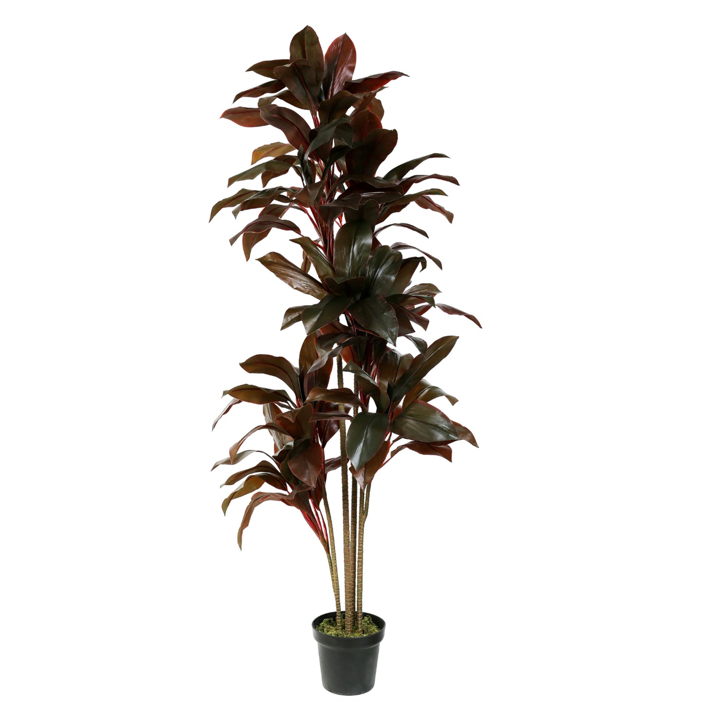 Artificial Cordyline shrub 170cm with realistic red foliage for indoor and outdoor décor